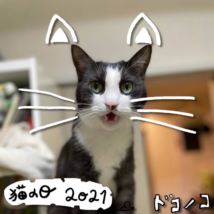 6b6d54f3 b5d8 4ab4 897a 898e09687e15 1613983891289