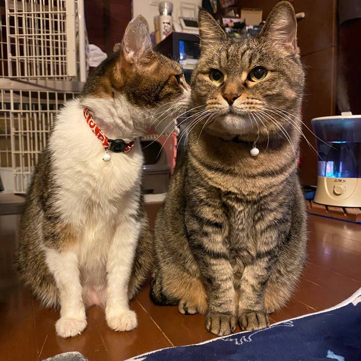 6b6d6fba fee1 460f b769 3149d7caa31d 1608376311808