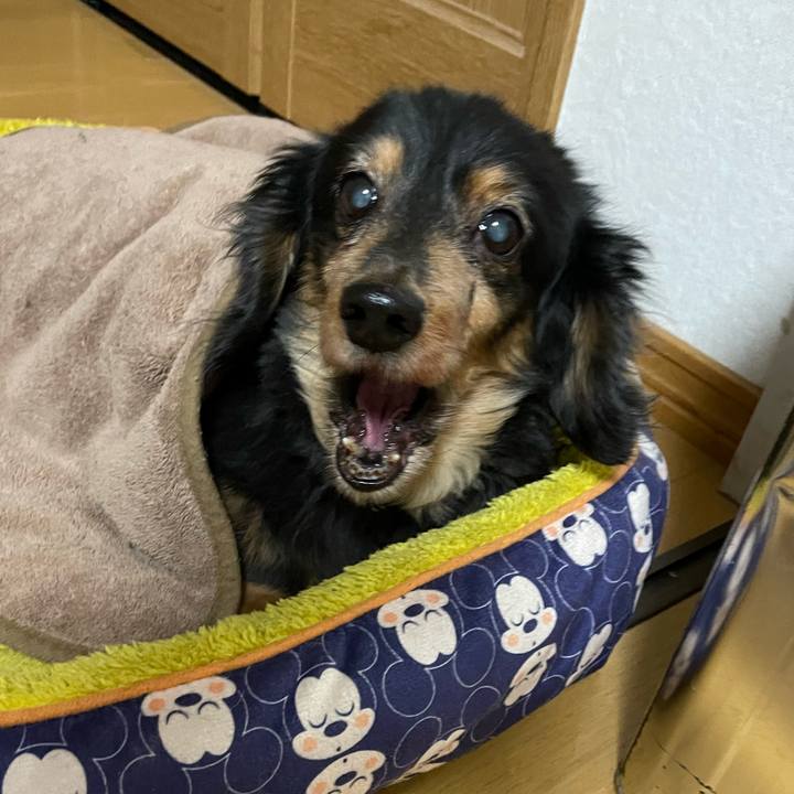 6b6d7ad2 1c35 439a 8142 9dece61a275f 1645364872077