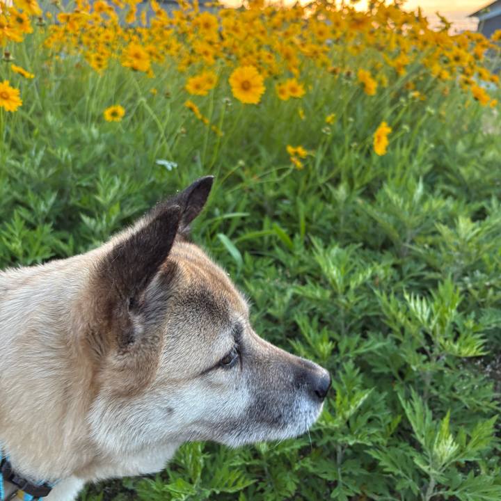 6b6d9597 aed1 458a b225 0e0195f15060 1748349843940