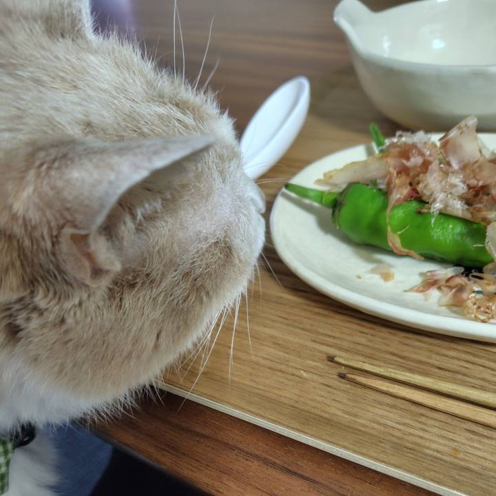 6b6d9894 34ce 436b a687 5a09c2de08ce 1723120350674