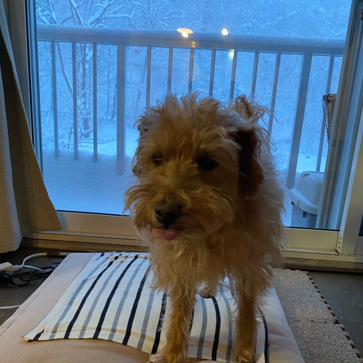 6b6dd1ff 168f 40c6 a5c3 cedd2e588e4b 1705356812938