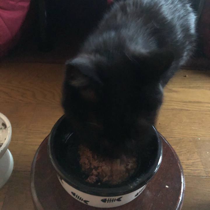 6b6dfa8d bdd3 47ca 9537 43beee9d7e2b 1618861310064