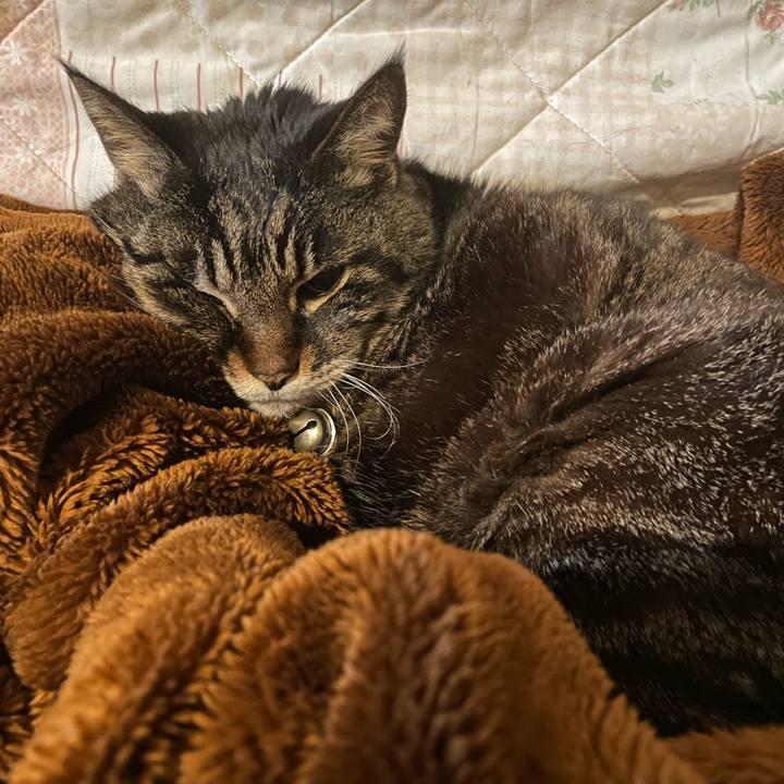 6b6e18c2 ebaf 4bb9 9021 df6fb3190318 1772711493930