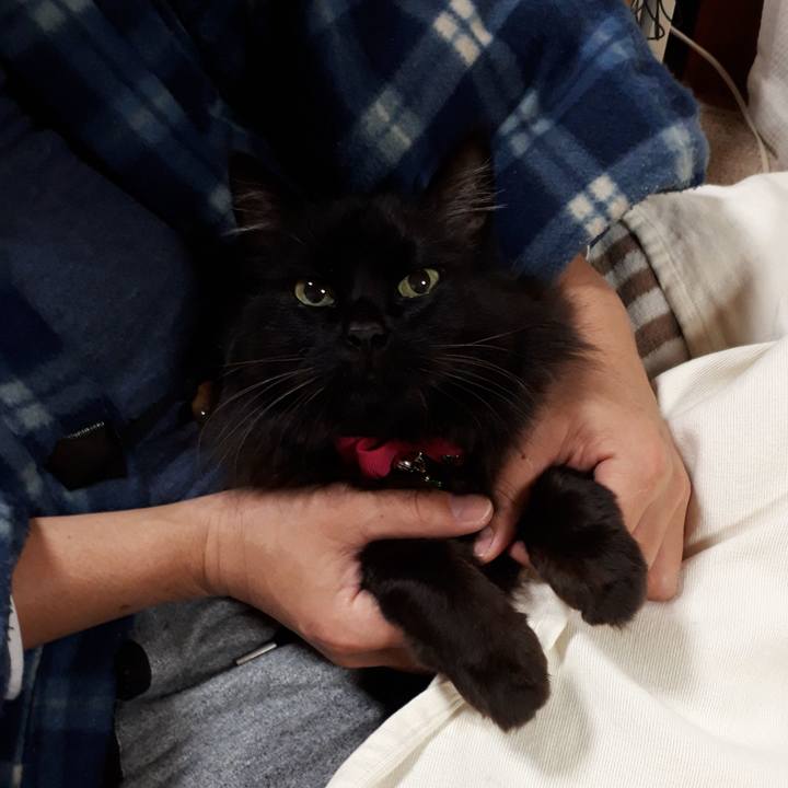 6b6e357b fc13 4d83 93ff c602f32b0950 1517867116454