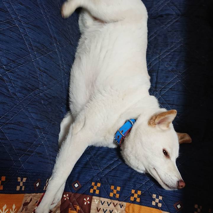 6b6e4d6e 989f 48da 95b2 7b4e19fa5b69 1590759597086