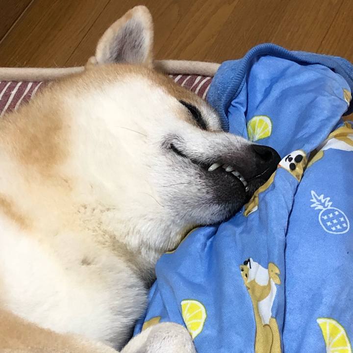 6b6e5046 2c97 4653 8c00 a57a18788b16 1565920043609