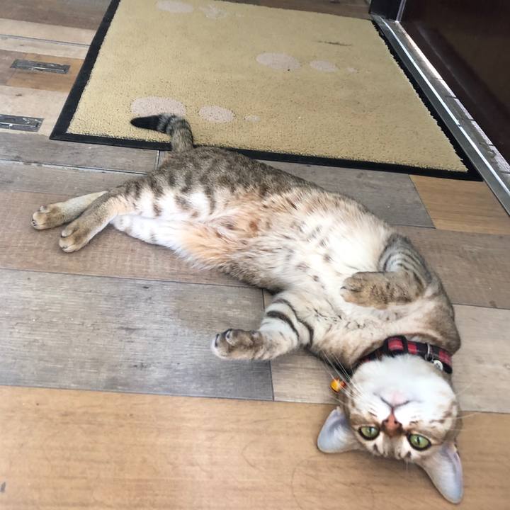 6b6e7ec4 45fb 48ed 92fb a6f175cf8cfa 1641879539689