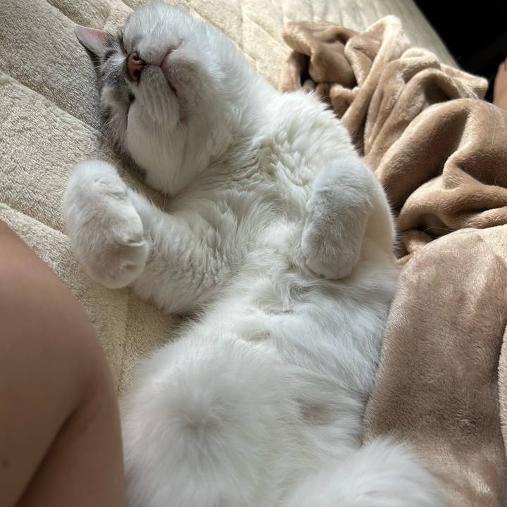 6b6e9e3c babb 42f0 b785 a1b5bd34ad76 1688004814256