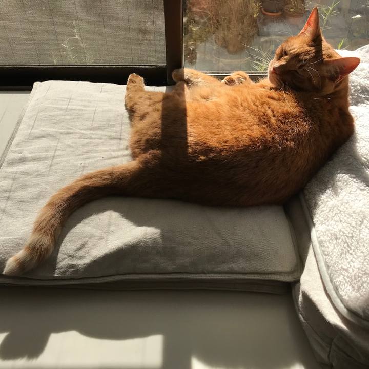 6b6ea056 8a5a 4590 89eb 5e55816565db 1512549803972