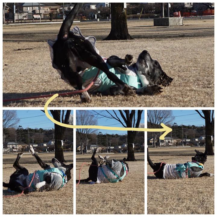 6b6ed2a1 06e5 450b a96e 169fbbb090b8 1769302560439