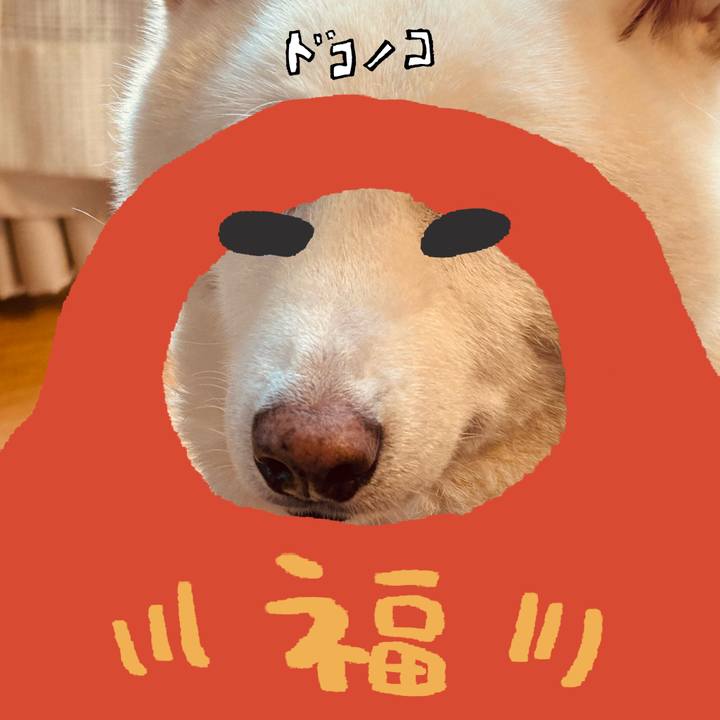 6b6ed793 12a8 4682 bae2 1f131fb351e4 1771819899488