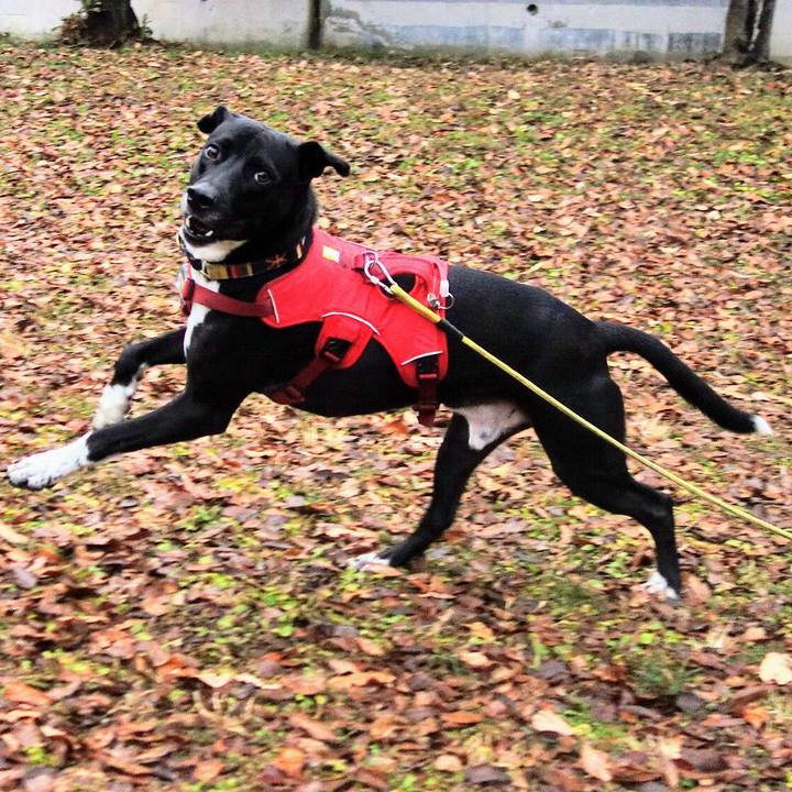 6b6f6d0d 8201 4708 9b52 8fd0a9924121 1609287691606