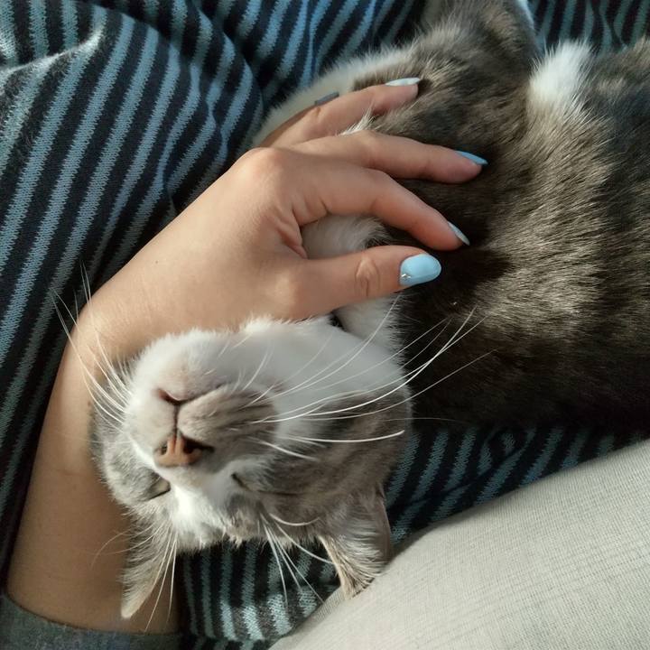 6b6f7f6f b510 45cb b3b8 4b7bf4a781bb 1613692880055