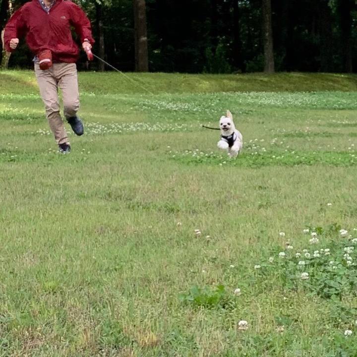 6b6fb61f 9e87 40bf babc 648e622d5bad 1560729930817