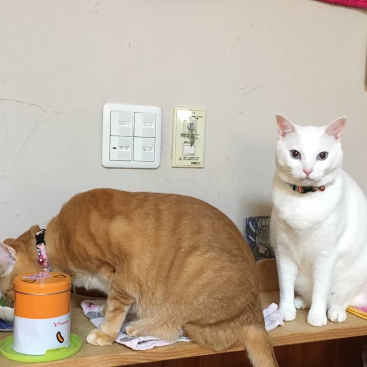 6b6fbe3b b3df 44ee 9b4b d2b7c935d03f 1542255922856