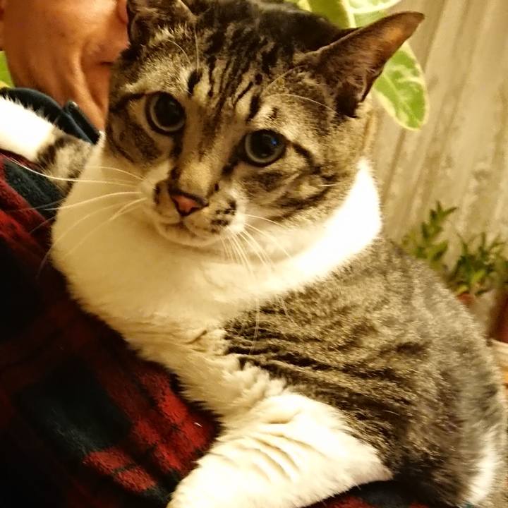 6b6fe4ab c465 4dce 829e e579cafc849a 1581838795279