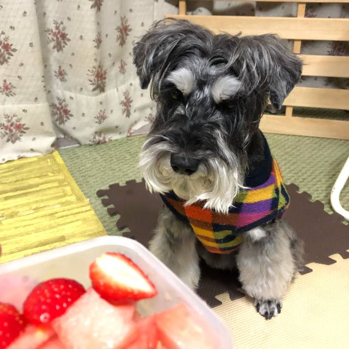 6b6fe6c7 6cb3 483b 9536 1bb035bb1367 1683468281649