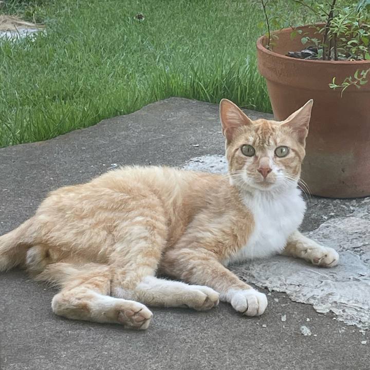 6b6ff2b1 8bab 4e83 93d0 6adaed172139 1659132376667