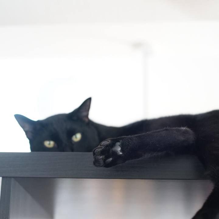 6b70073e 1762 459f 98dd 06bed12488e5 1531093352217