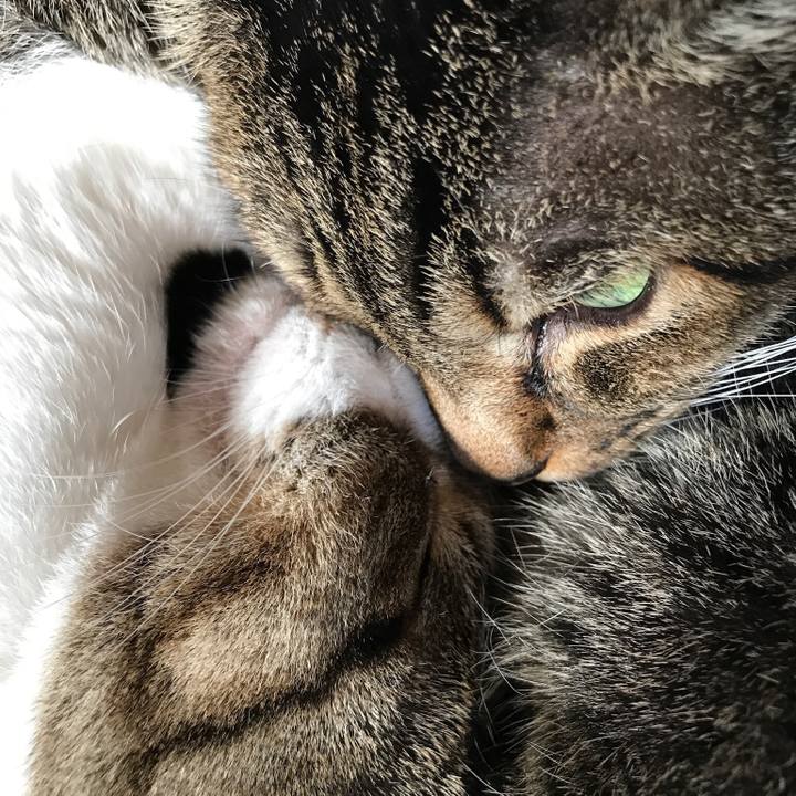 6b703642 252c 4cae a4a6 f9d41ad09d79 1509930568280