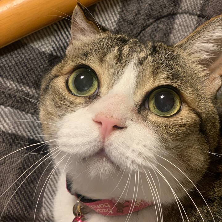 6b7048ff 4e60 4ccf 8b8e 7e24bb685522 1734174838063