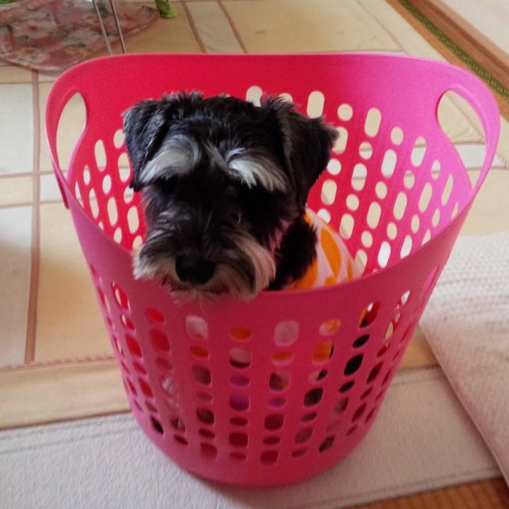 6b704b5a 4597 4ba0 8063 2af843f4bc06 1652768282265