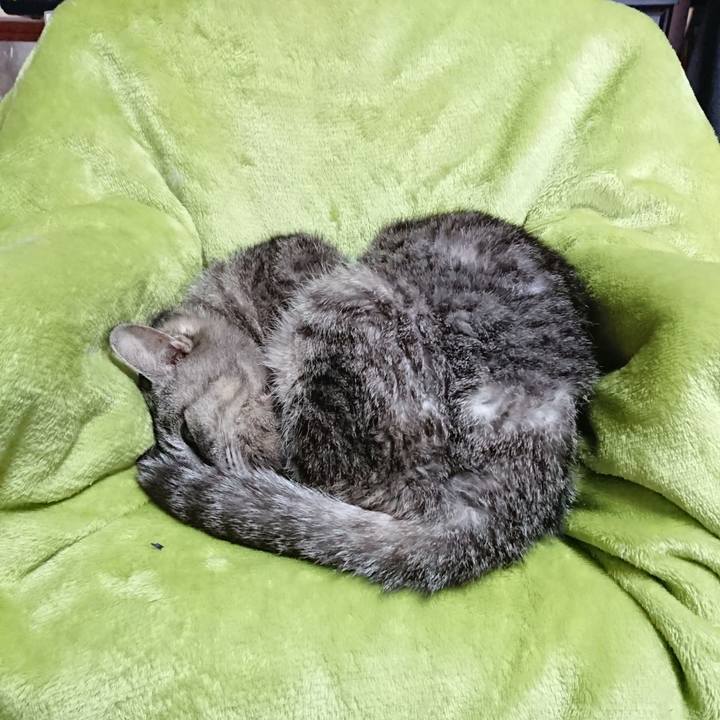 6b70aedb 0dd2 40fc 8afc 76371dd0f02e 1587613692618