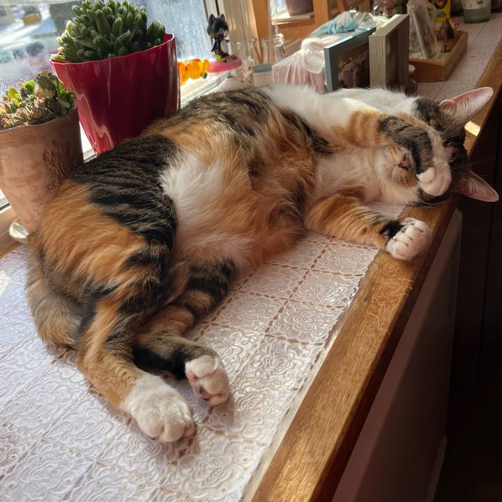 6b70bf45 f55f 4a87 8d38 60232049a5c1 1767929729243