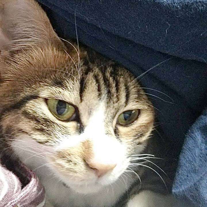 6b70c9ca e6e2 4554 8237 81d9d655a45a 1738656393050