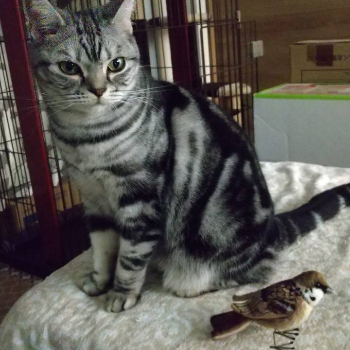 6b70cc1e 89fa 4763 bd94 55f666d91ec1 1670070552344