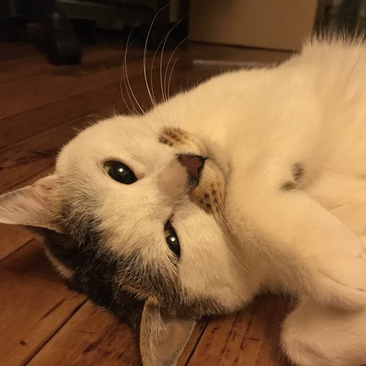 6b70df60 cbf6 4be5 8196 a0d053100d01 1554295680439