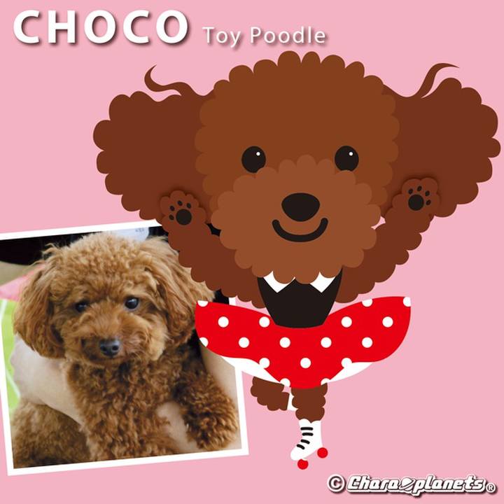 6b70e041 e022 4592 b816 9b2311c79a6e 1565488776044