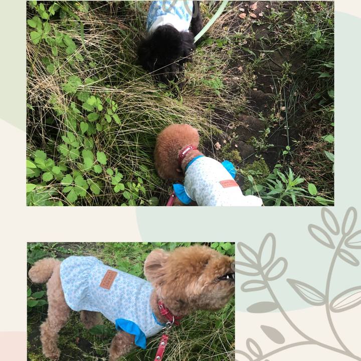 6b70fb61 8277 410a 9b30 6ffd67fd0775 1590913273894