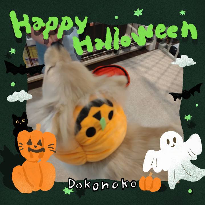 6b71127c 4b0f 497b a8f6 c84103dd77e6 1729208253420