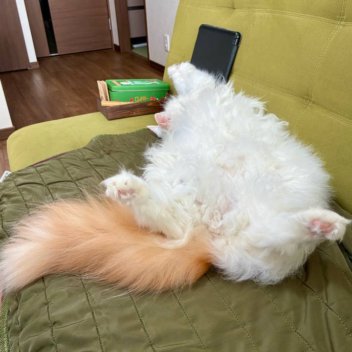 6b711e32 4235 4792 ad15 b84a459188e1 1762129697208