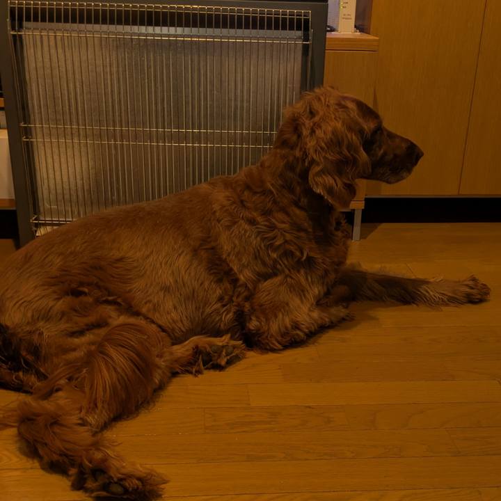 6b71305d 314c 45ff 938f 8dc8cb44eaf4 1761087336044