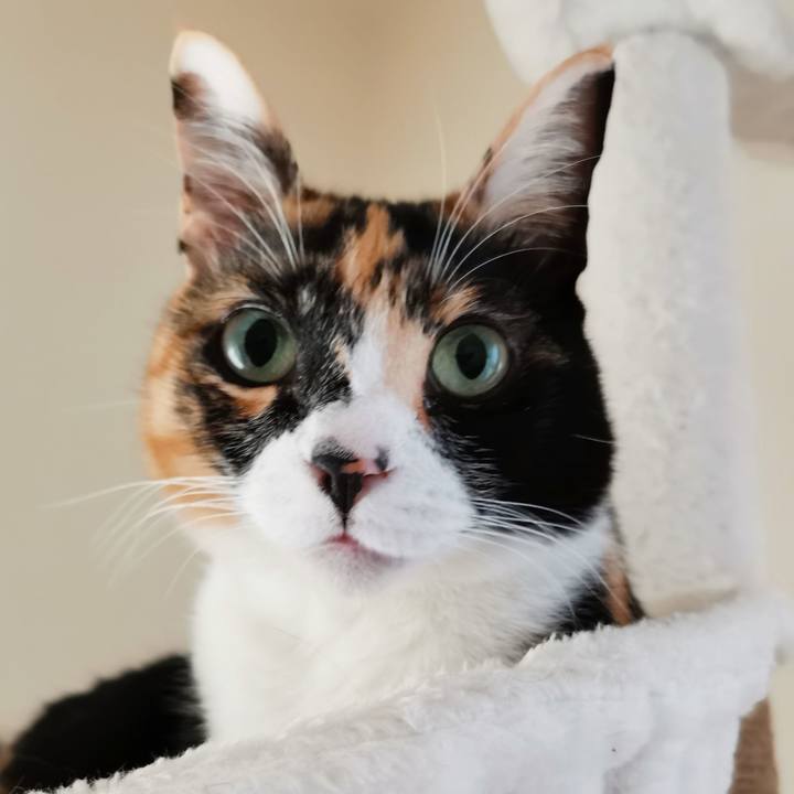 6b7134dd 084a 4afc a296 3a391eeffef4 1677308556388