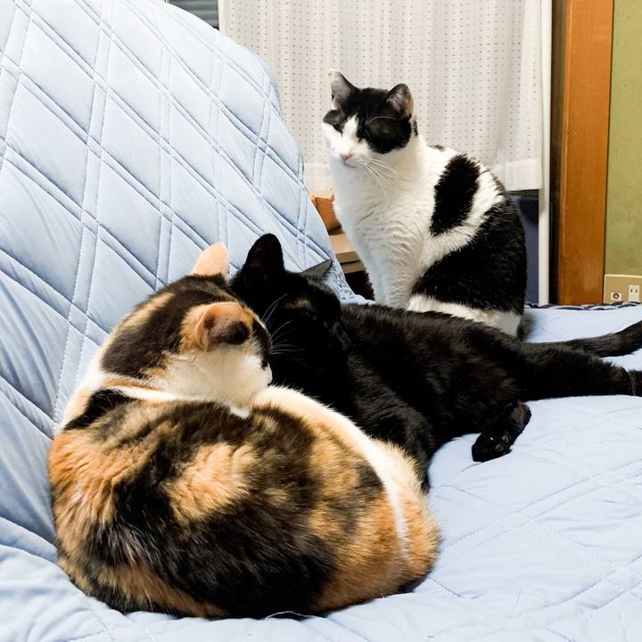 6b713908 d049 425c 9e89 b3f25215fd8d 1593657083793