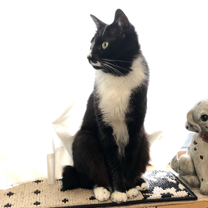 6b713c71 ffa0 4c56 9246 9a442ea9289a 1593747876718