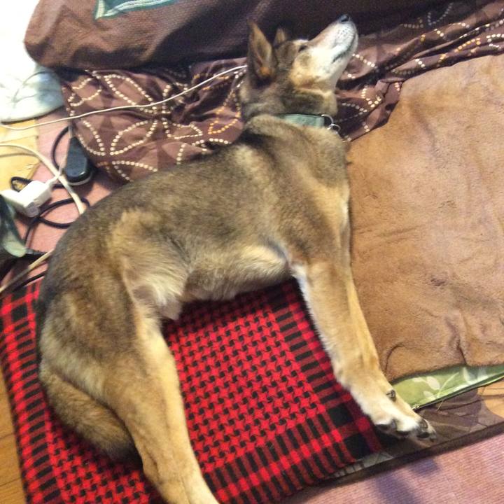 6b7142e1 a275 476d 966a cedd0afd99e1 1513766840543