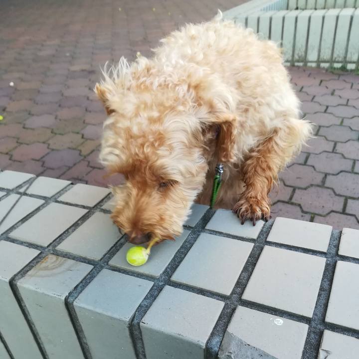 6b71454b b842 4f9e 8881 a39e7136d395 1567544760696