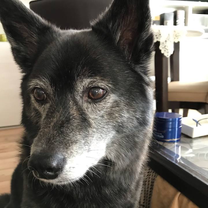 6b716d65 47d9 4c2a 9be1 2cdfe8f66f22 1582551708831