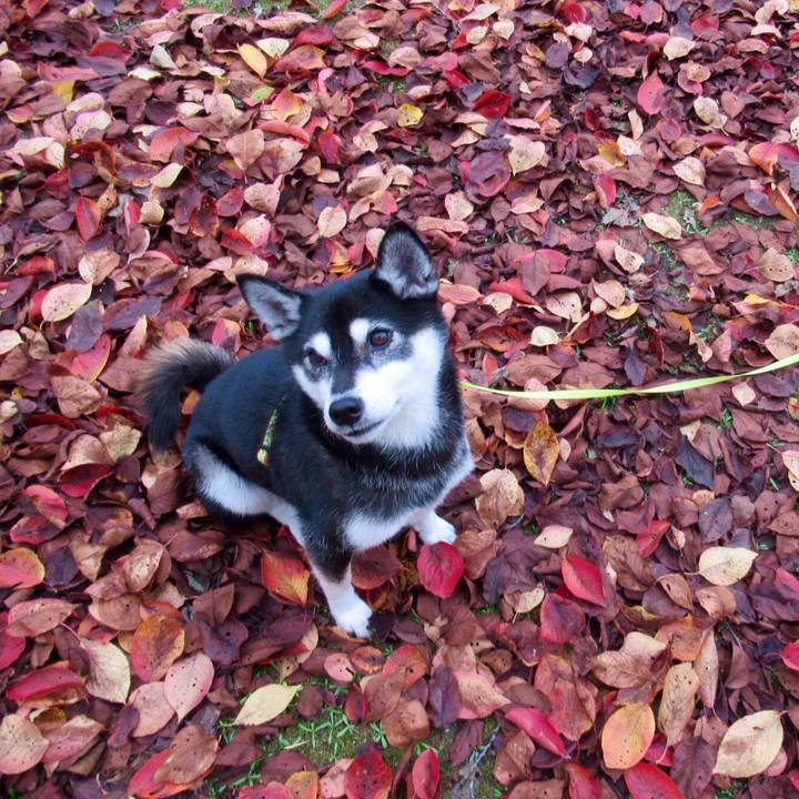 6b7176fa 5b36 4dff bbf5 5b3eb513a899 1571909801450