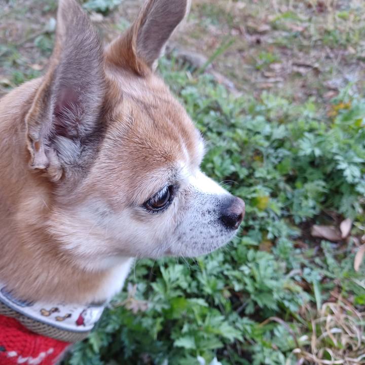 6b71820f 4931 4c0e bfd9 6598c42c780d 1773789003811