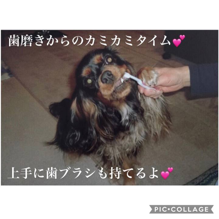 6b718a76 d17c 40b7 857e 34877b519333 1601901946253