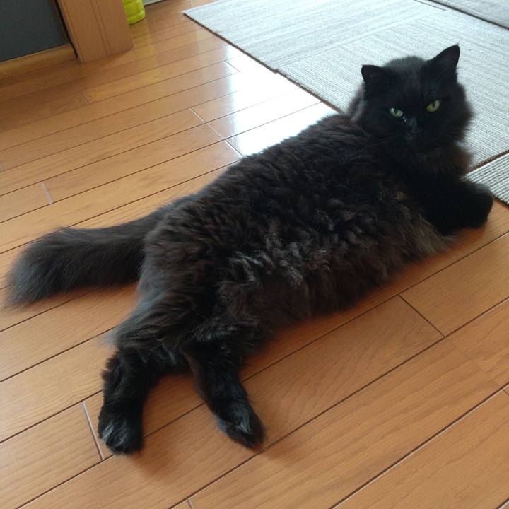 6b71de44 c384 41f1 abee 3454cd96b0dc 1655604849863