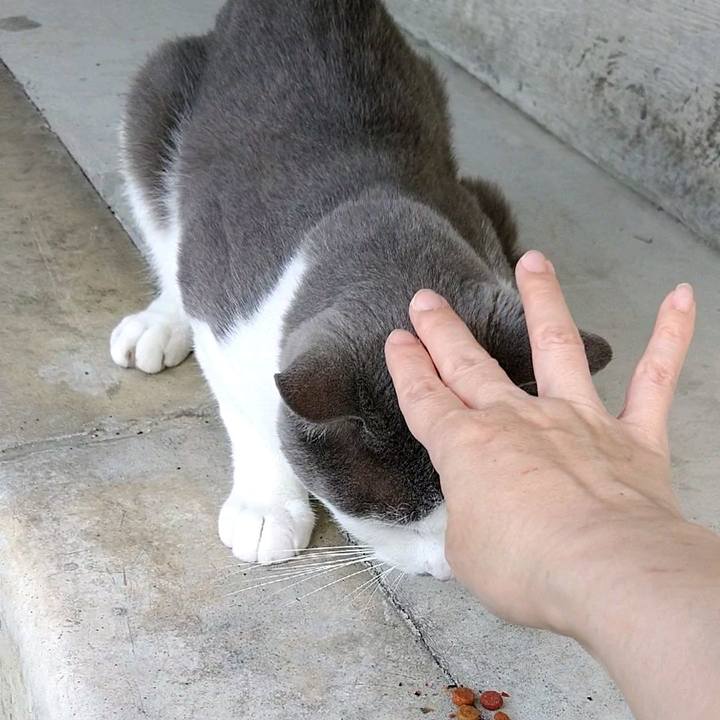 6b721873 cd11 4b22 a4ac 79f5e1b857a1 1595126417001