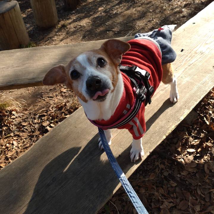 6b72367c 91fa 48b2 ac81 6b2af2a33e91 1771510900948