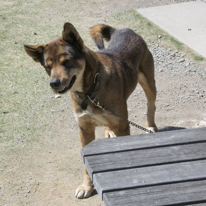 6b7244b7 3f4c 4f8a 910c 3989ffefee51 1555287519632